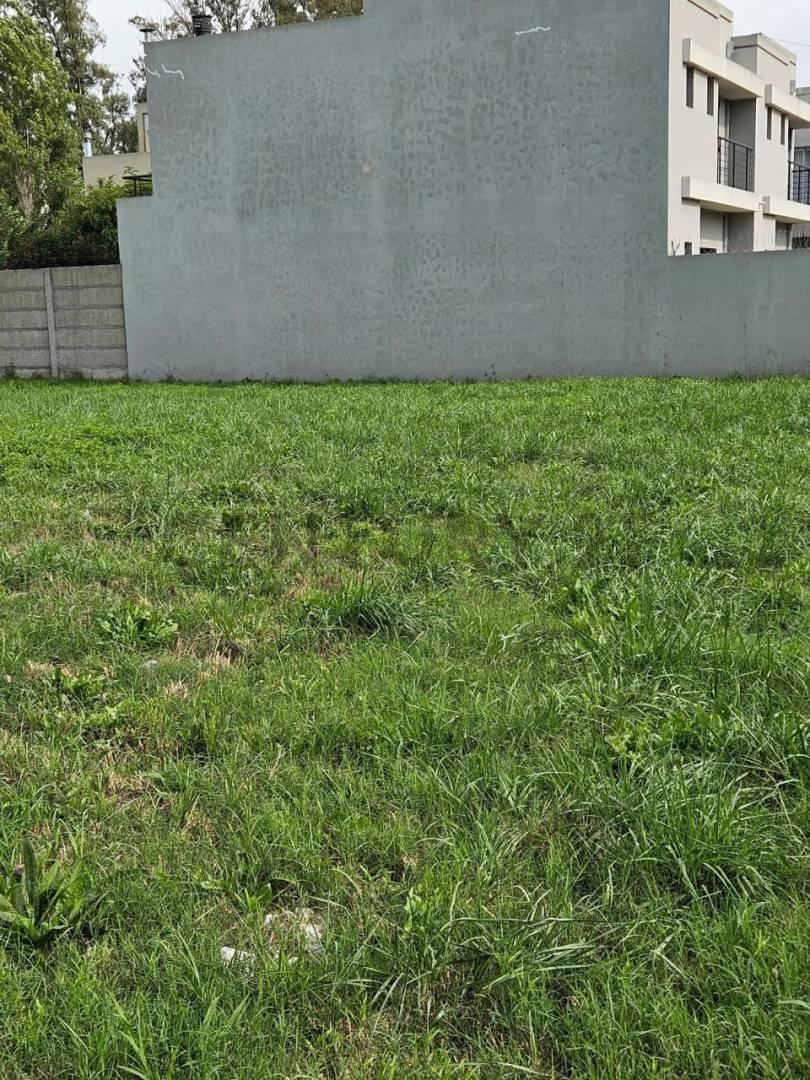Foto de VENTA DE LOTE EN PETION CHICO, CANNING, imagen 5