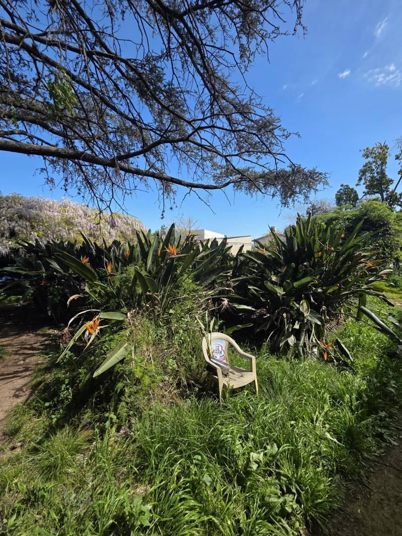 Foto de VENTA - LOTE - GENERAL PACHECO, imagen 5