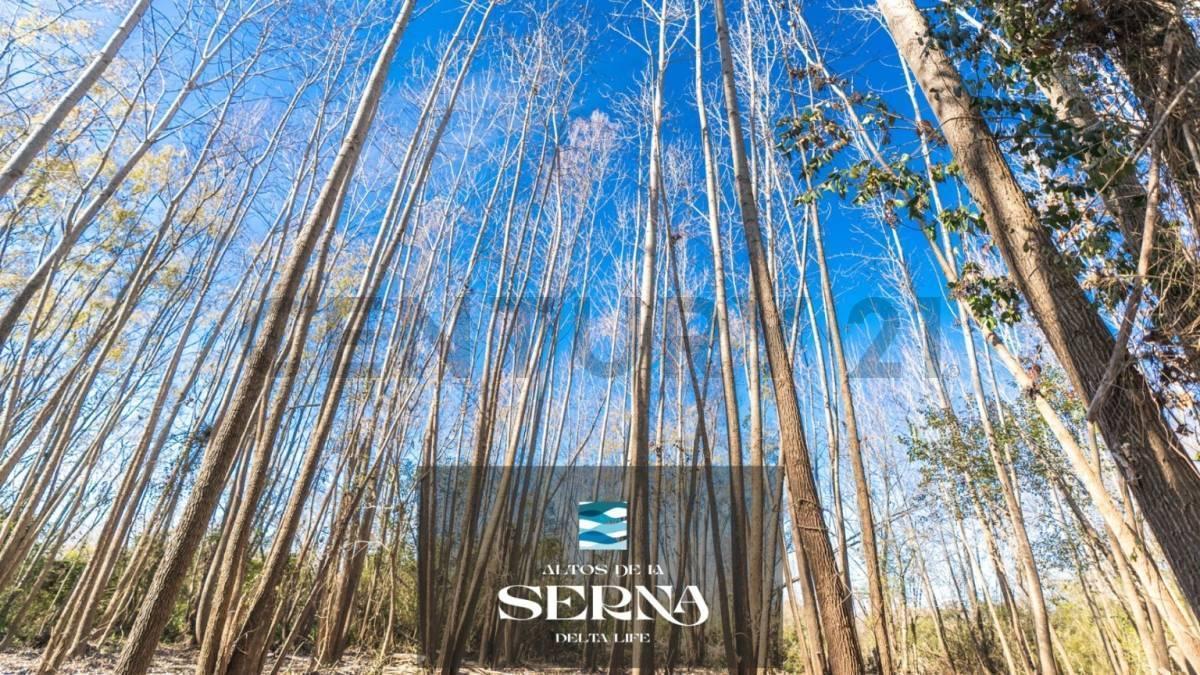 Foto de Venta Lote terreno Altos de la Serna Islas del delta , imagen 5