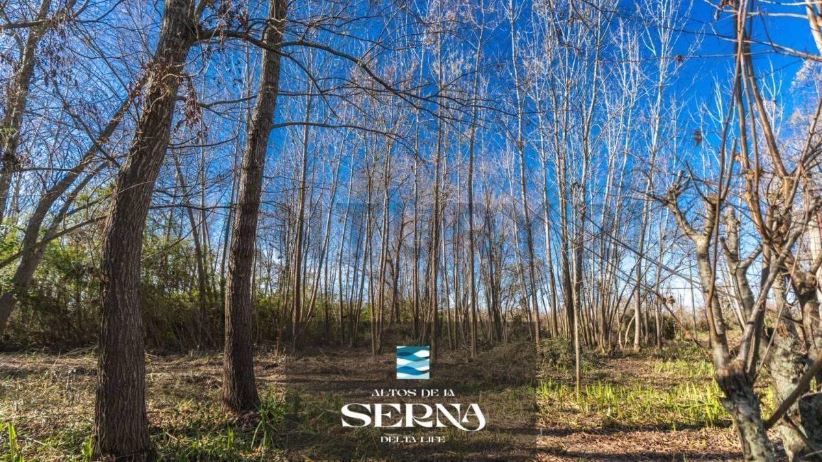 Foto de Venta Lote terreno Altos de la Serna Islas del delta , imagen 3