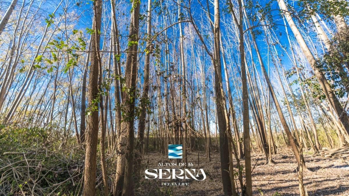 Foto de Venta Lote terreno Altos de la Serna Islas del delta , imagen 4
