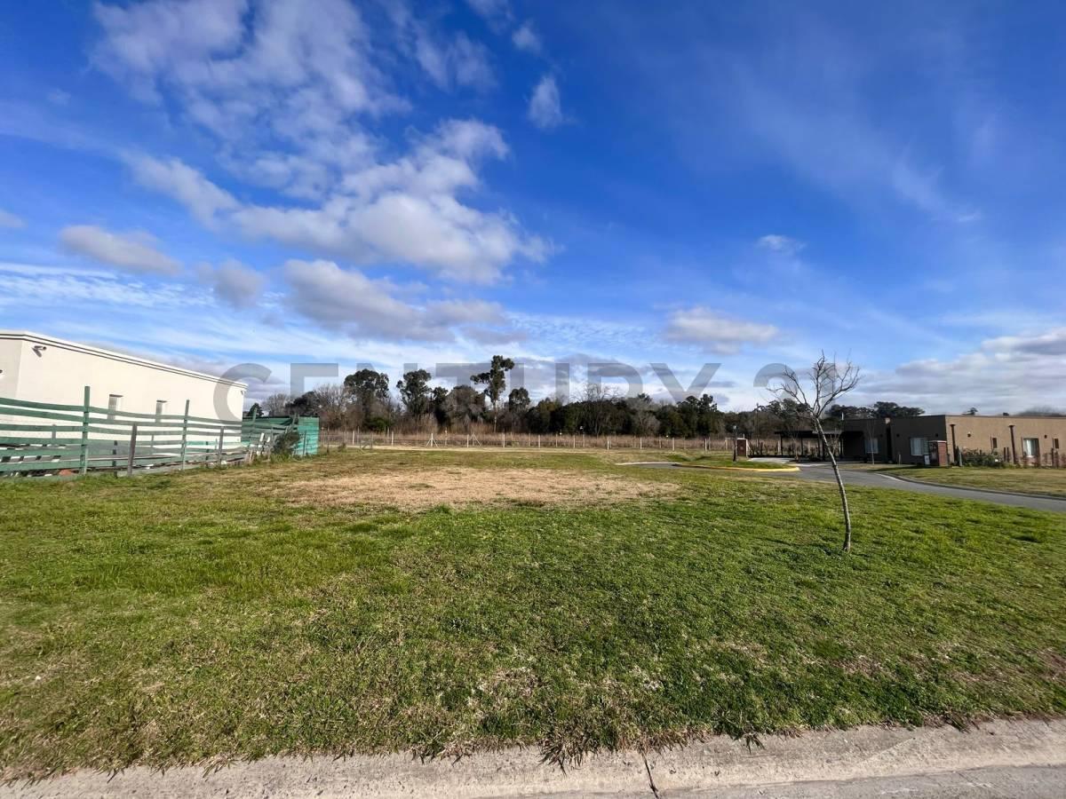Foto de Lote en venta San Sebastian Area 13, imagen 3