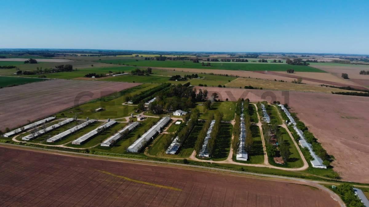 Foto de VENTA - CAMPO - EXALTACION DE LA CRUZ, imagen 5