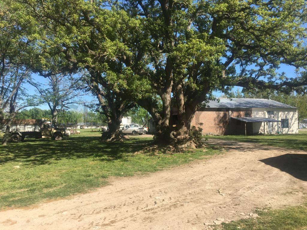 Foto de VENTA - CAMPO - EXALTACION DE LA CRUZ, imagen 4