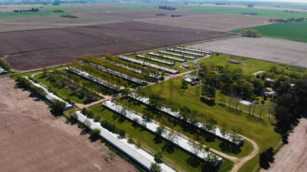 Foto de VENTA - CAMPO - EXALTACION DE LA CRUZ, imagen 3
