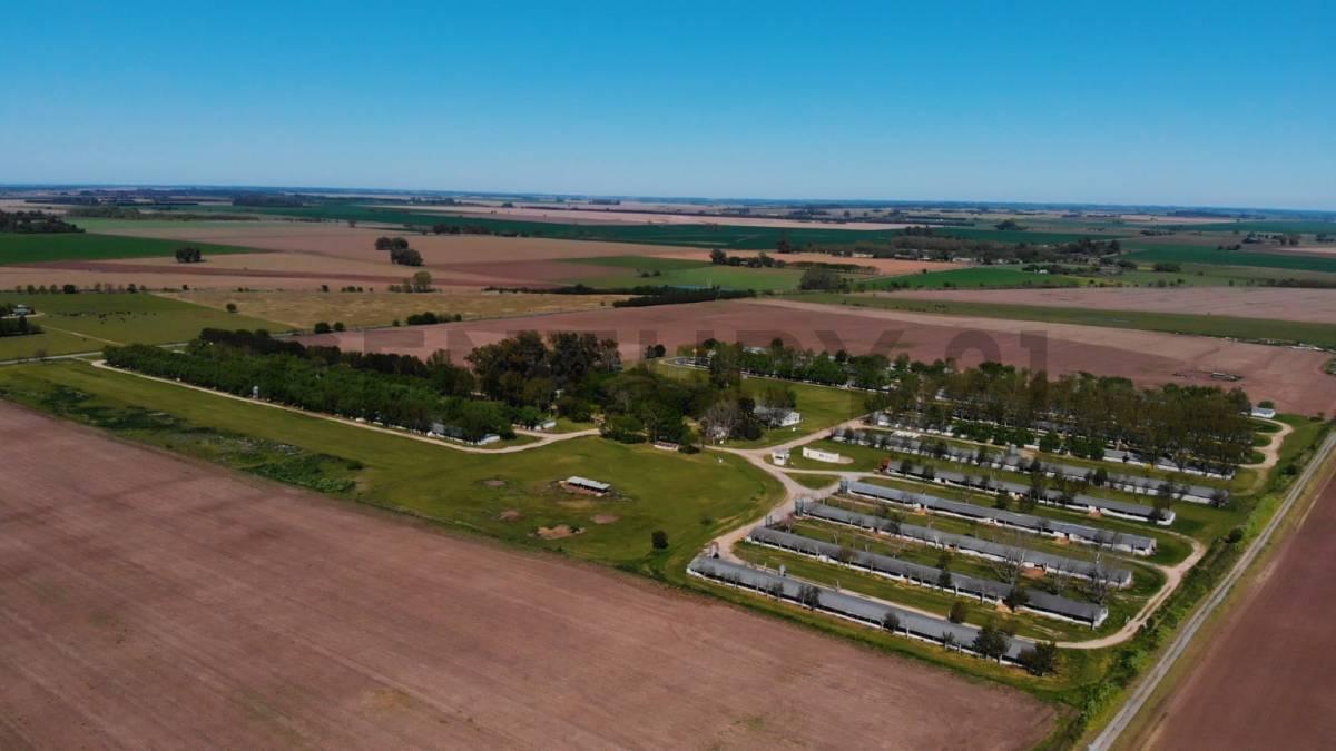 Foto de VENTA - CAMPO - EXALTACION DE LA CRUZ, imagen 1
