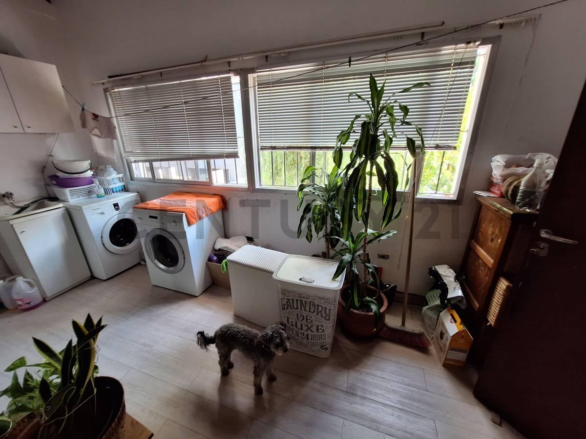 Foto de Casa de 5 dormitorios y local en venta, Tigre Centro, imagen 4