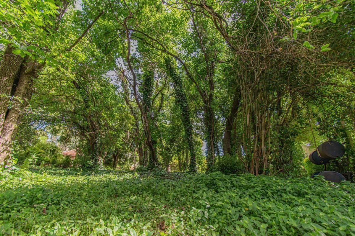 Foto de LOTE- EN VENTA - 2100m²- LOPEZ CAMELO- RICARDO ROJAS, imagen 4