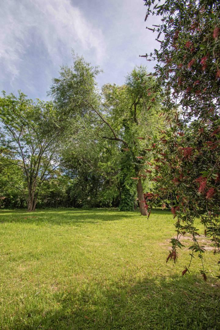 Foto de LOTE- EN VENTA - 2100m²- LOPEZ CAMELO- RICARDO ROJAS, imagen 3