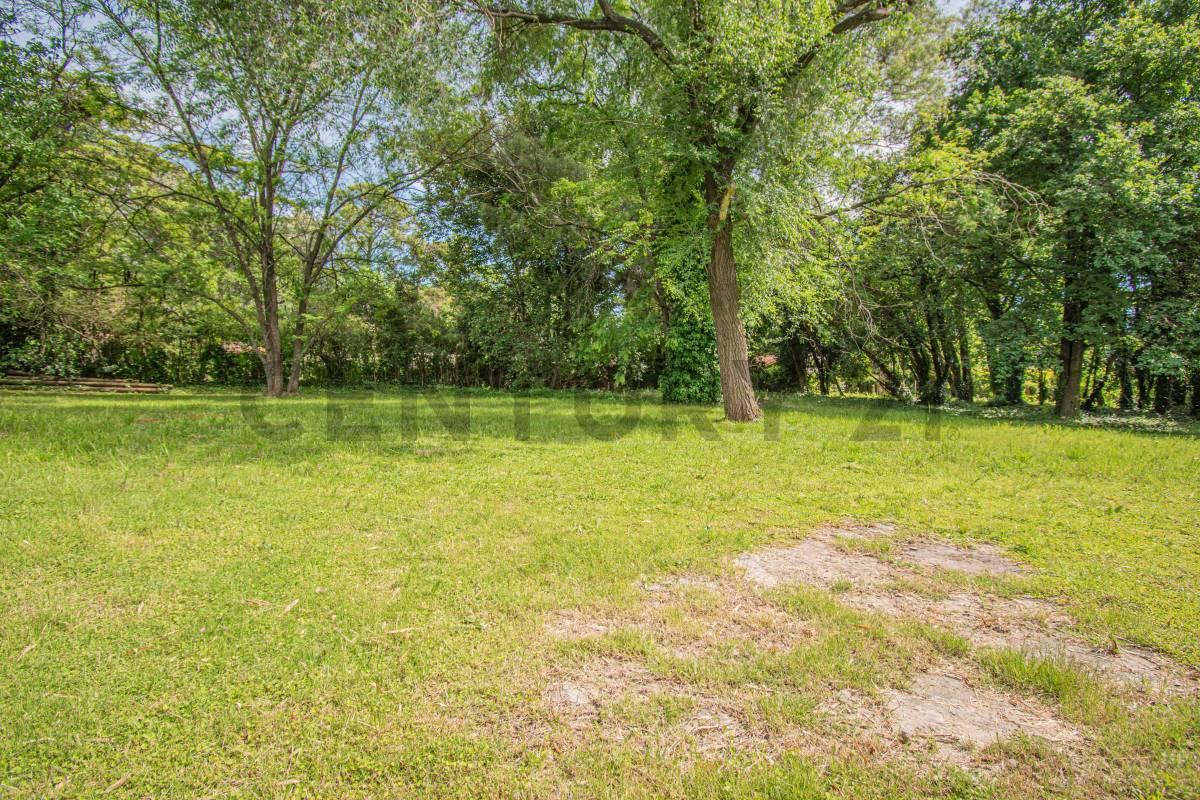 Foto de LOTE- EN VENTA - 2100m²- LOPEZ CAMELO- RICARDO ROJAS, imagen 2