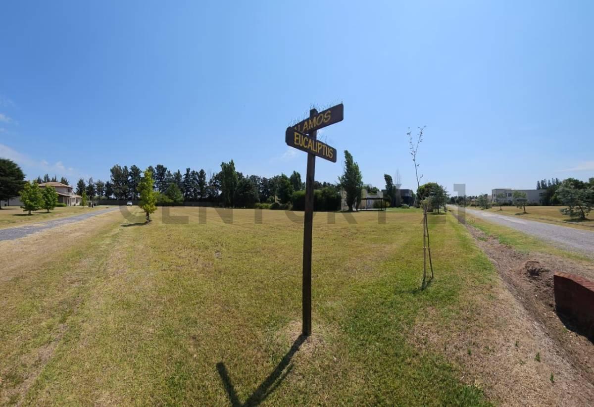 Foto de VENTA LOTE 1836 m² Barrio Haras del Sol - Pilar, imagen 4