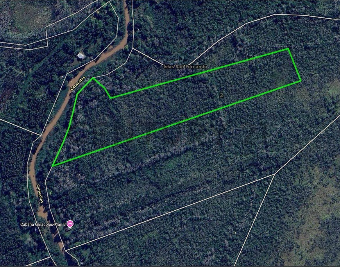 Foto de Lote en venta, imagen 4