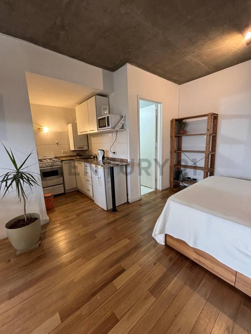 Foto de VENTA DEPARTAMENTO MONOAMBIENTE CON COCHERA EN TIGRE, imagen 1