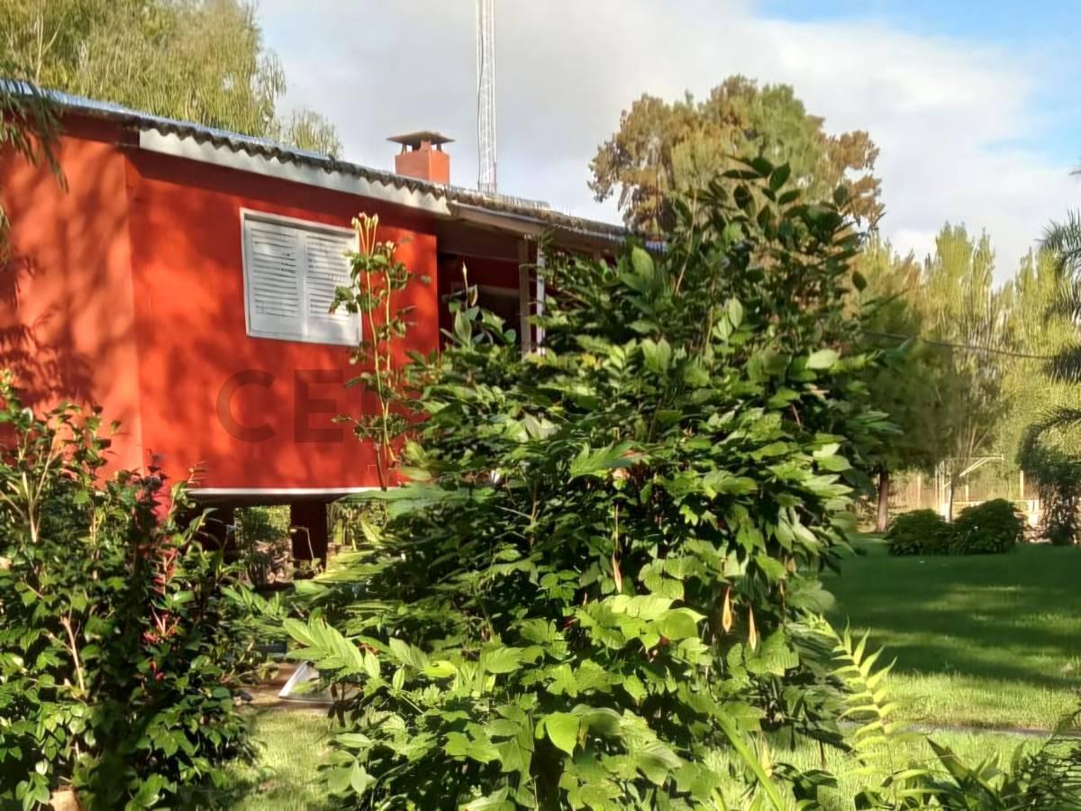 Foto de Casa Arroyo Felicaria sobre doble Lote, imagen 5