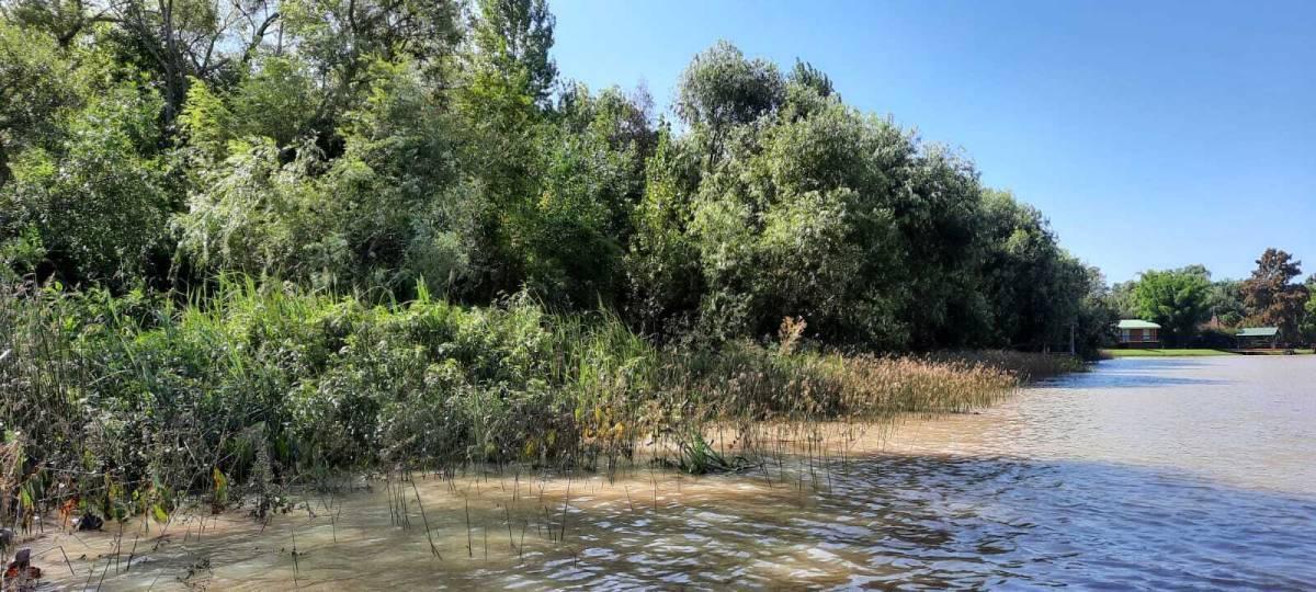 Foto de Lote Terreno en Canal del Este - 21m Frente - Escritura Inmediata, imagen 2