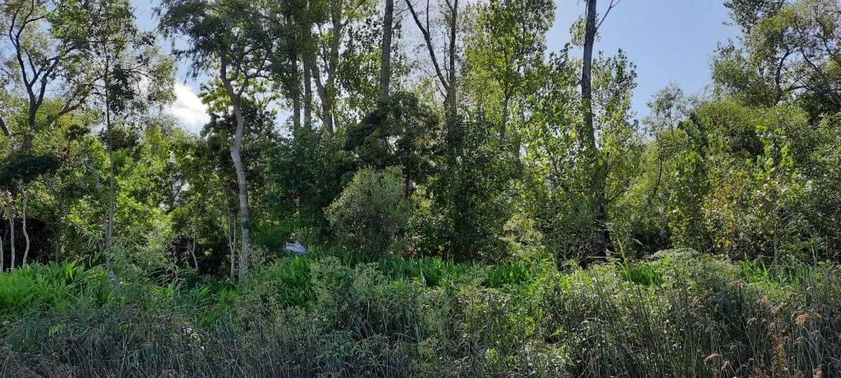 Foto de Lote Terreno en Canal del Este - 21m Frente - Escritura Inmediata, imagen 1