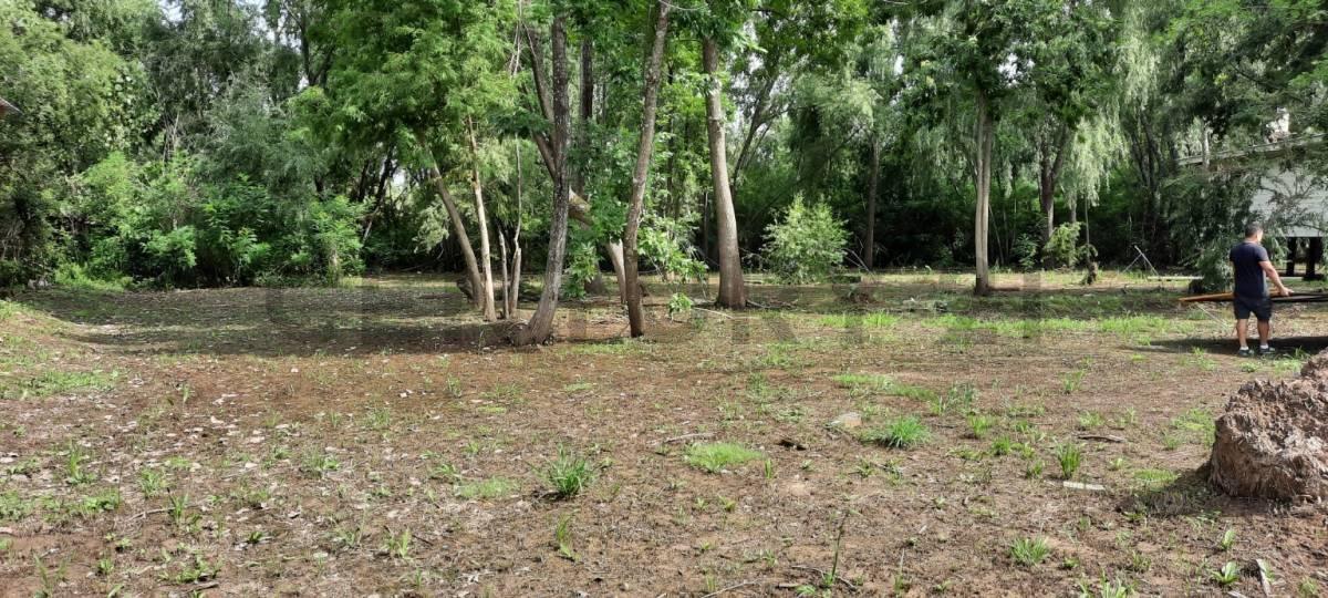 Foto de VENTA LOTE TERRENO ISLA DEL CARAGUATA DELTA TIGRE, imagen 1