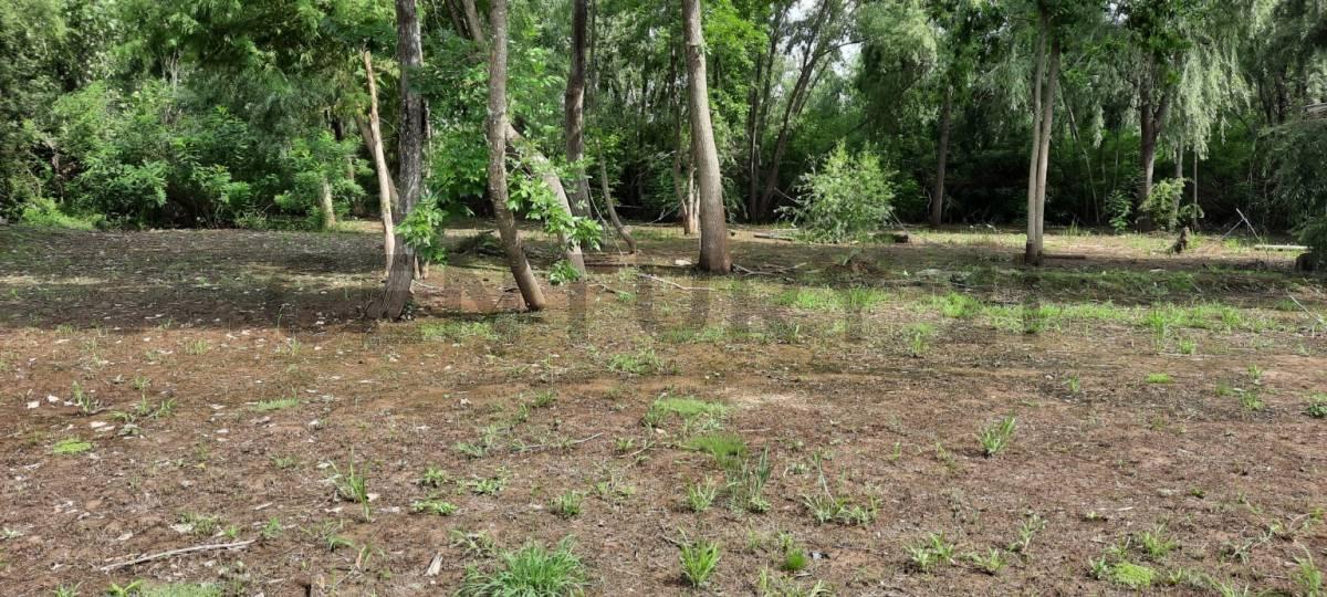 Foto de VENTA LOTE TERRENO ISLA DEL CARAGUATA DELTA TIGRE, imagen 2