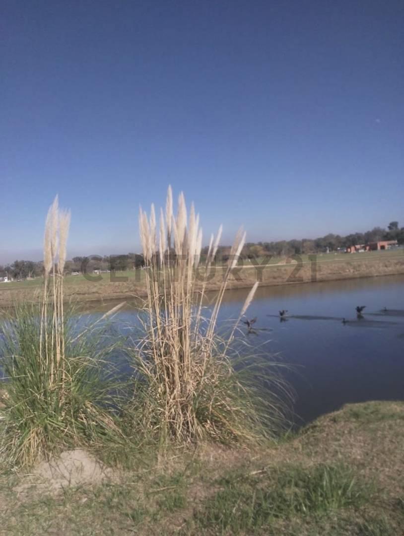 Foto de LOTE A LA VENTA EL ENSUEÑO ESCOBAR, imagen 5