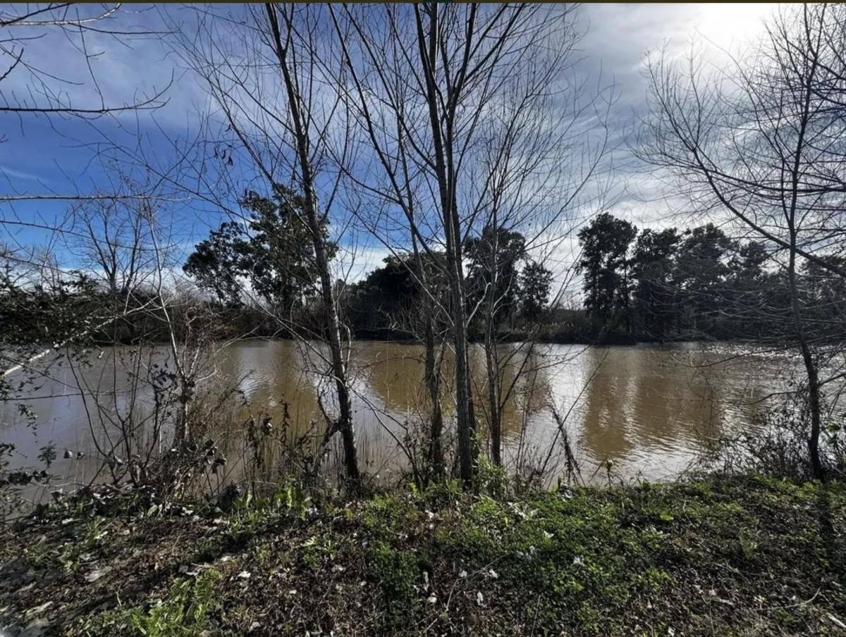 Foto de VENTA De Lote Al Rio en Barrio Bahia Villanueva, imagen 2