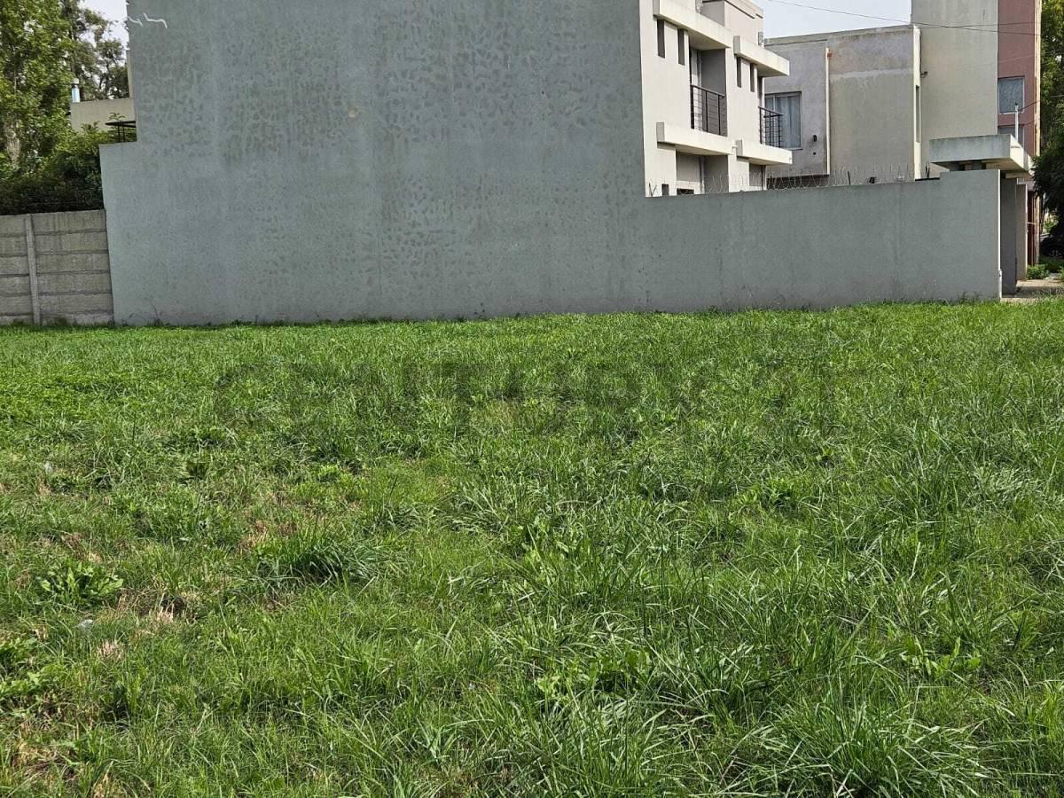 Foto de LOTE EN VENTA EN CAÑUELAS, imagen 1