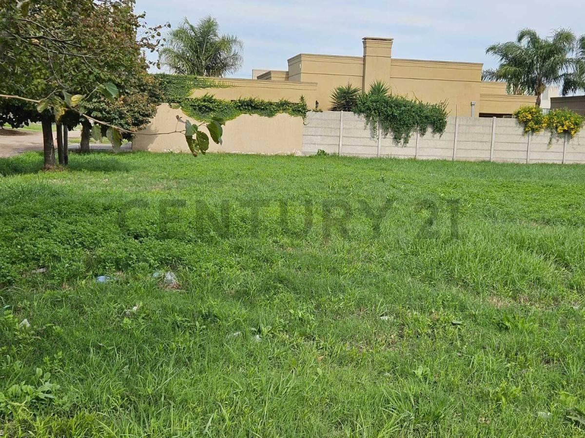 Foto de LOTE EN VENTA EN CAÑUELAS, imagen 4