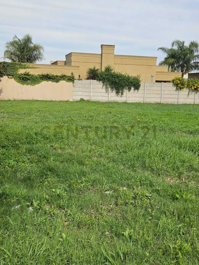 Foto de LOTE EN VENTA EN CAÑUELAS, imagen 5