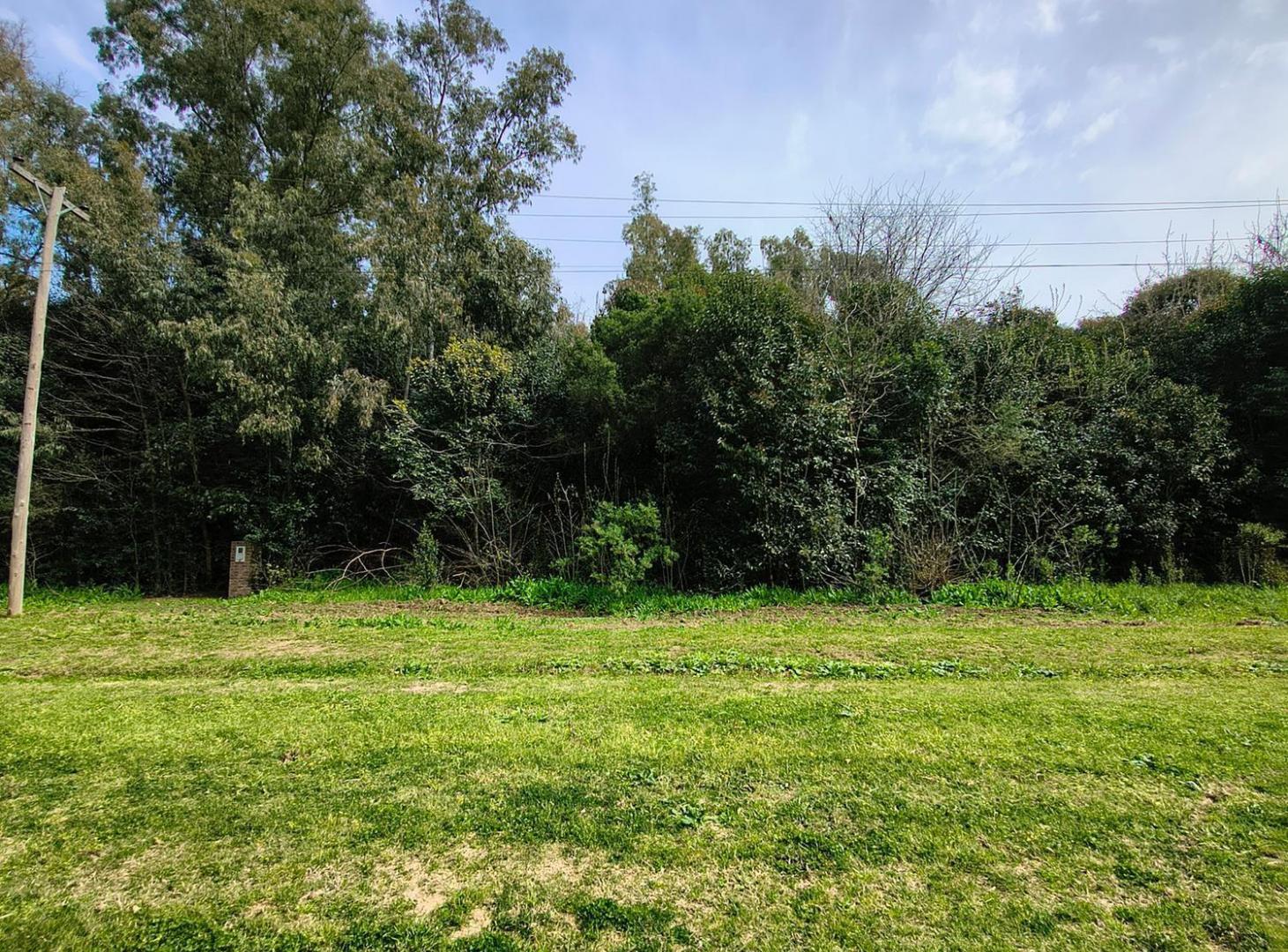Foto de Terreno en venta en Lima, imagen 3