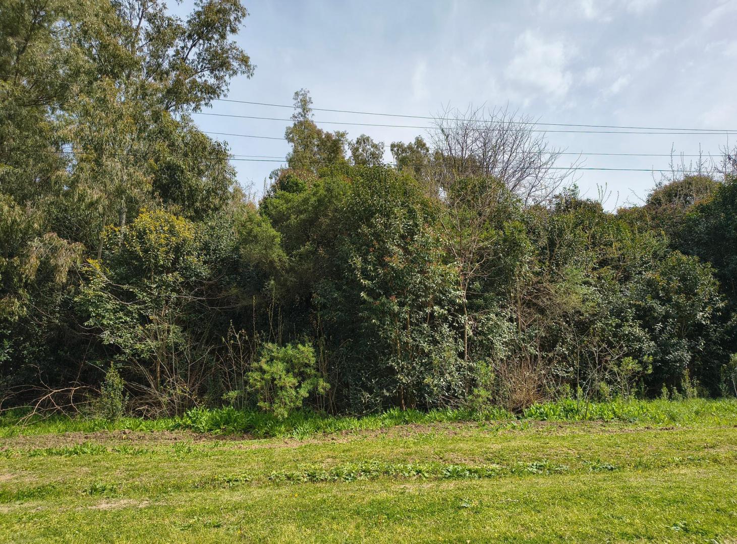 Foto de Terreno en venta en Lima, imagen 2
