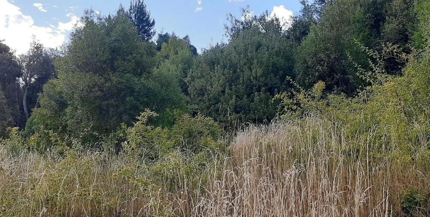 Terreno en San Martin De Los Andes 2