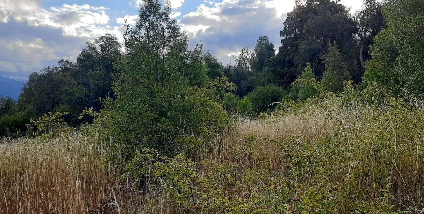 Terreno en San Martin De Los Andes 4