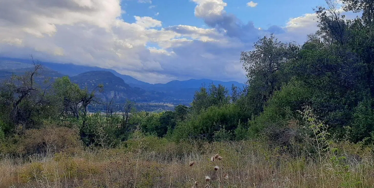 Terreno en San Martin De Los Andes 3