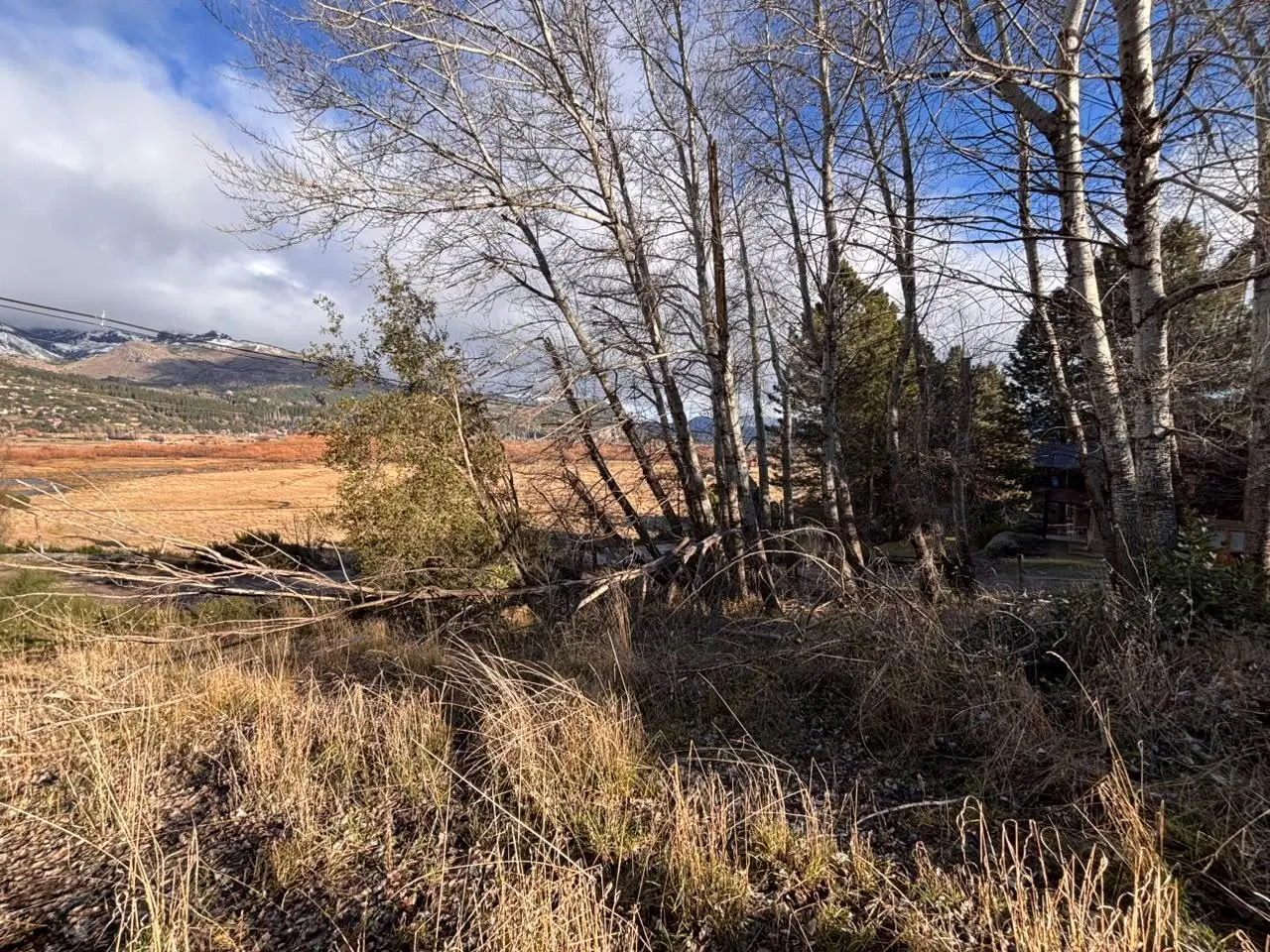 Terreno en San Martin De Los Andes 8