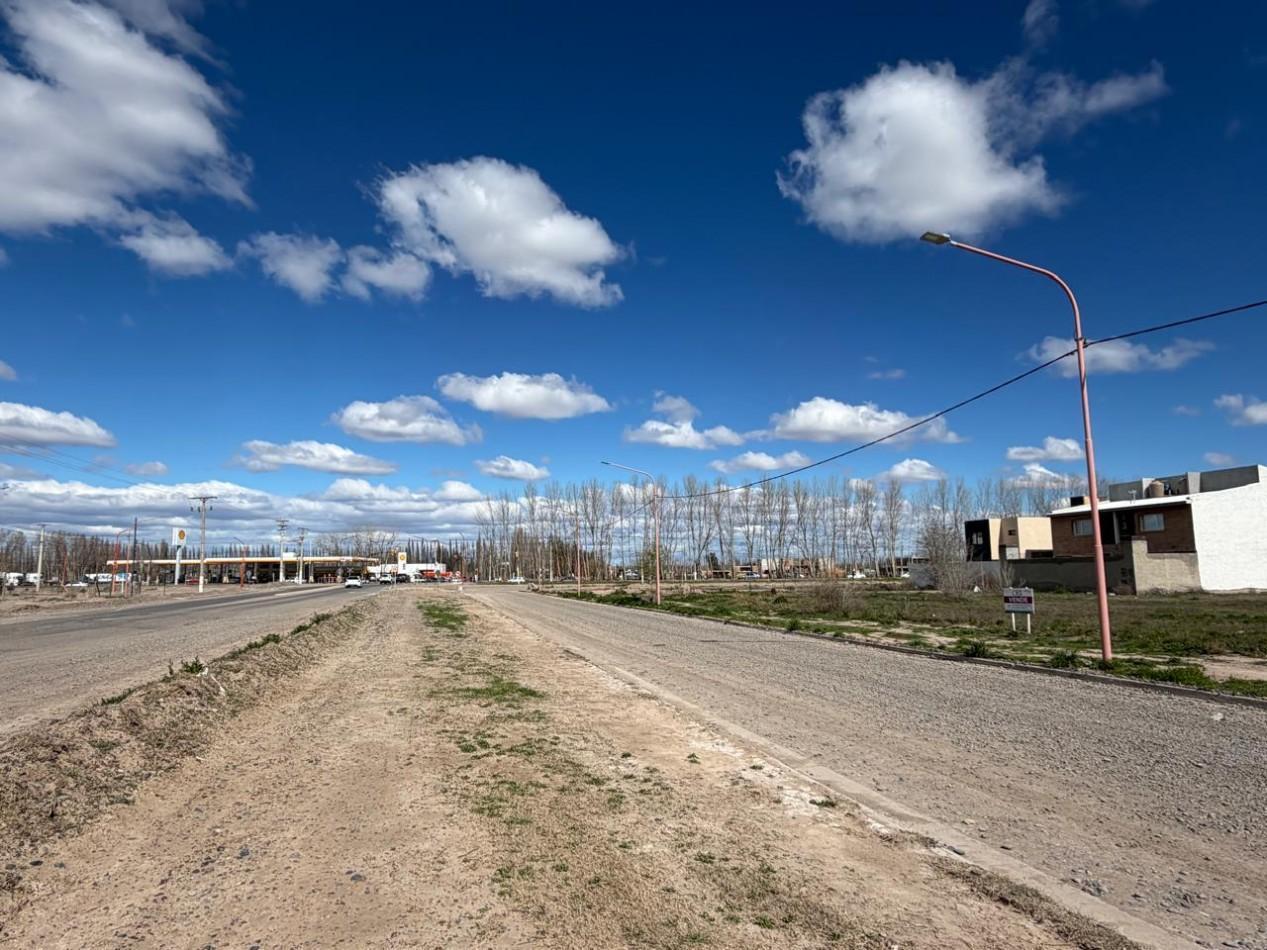 Foto de TERRENO, imagen 2