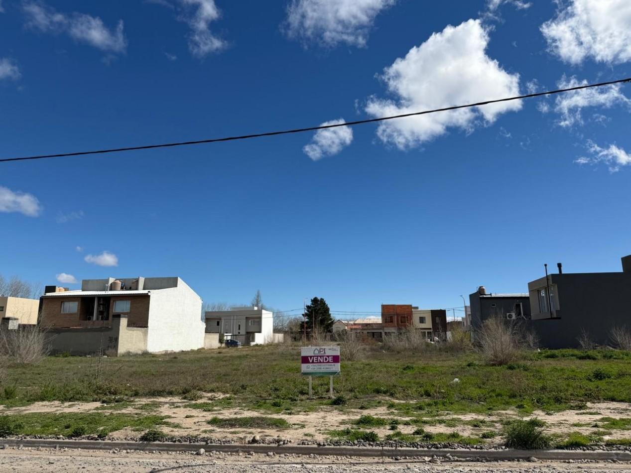 Foto de TERRENO, imagen 3