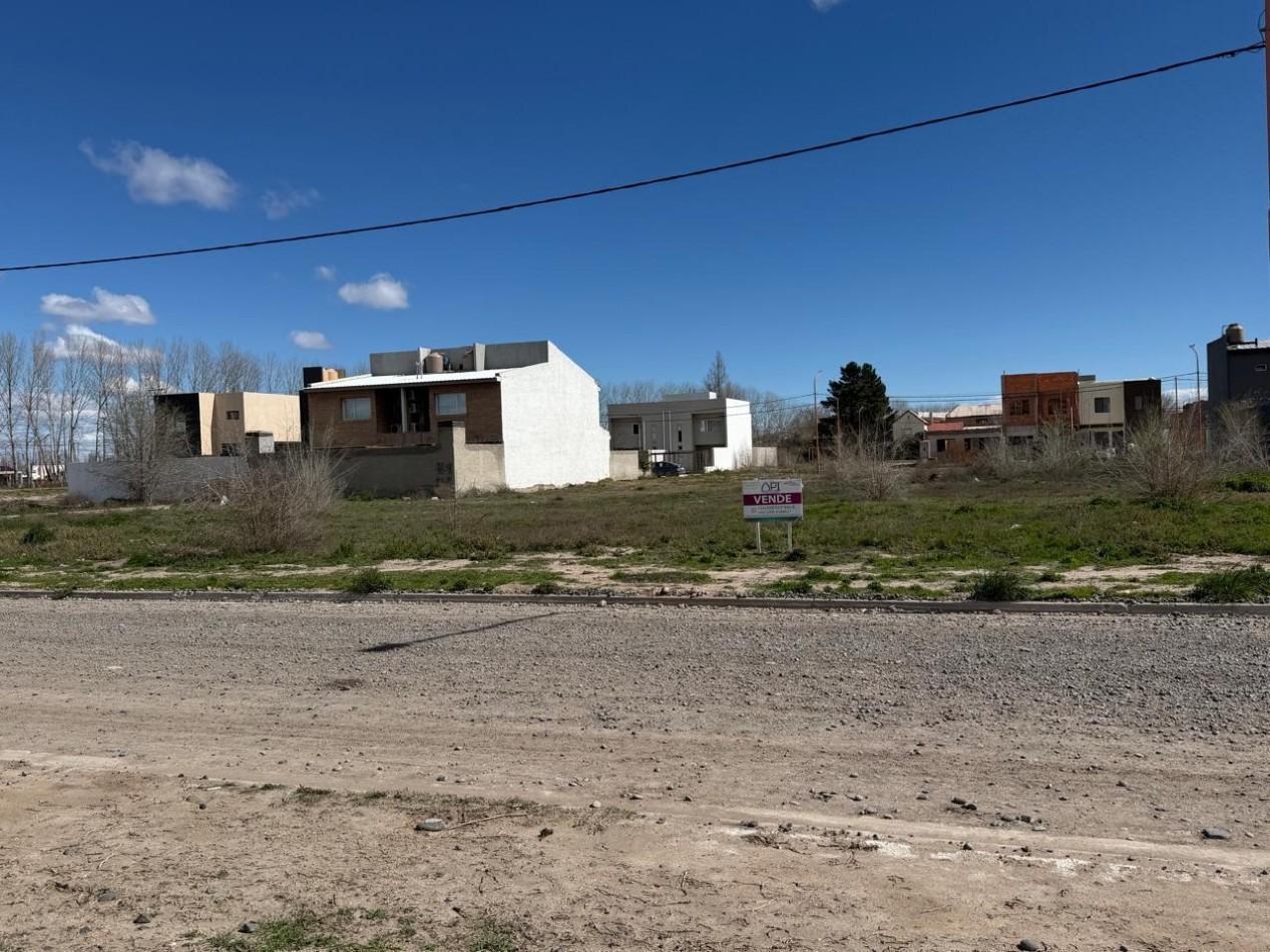 Foto de TERRENO, imagen 1
