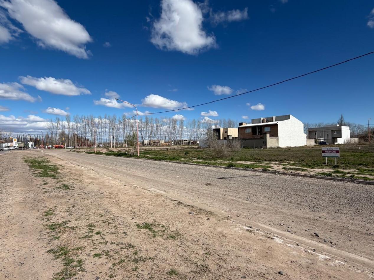 Foto de TERRENO, imagen 4