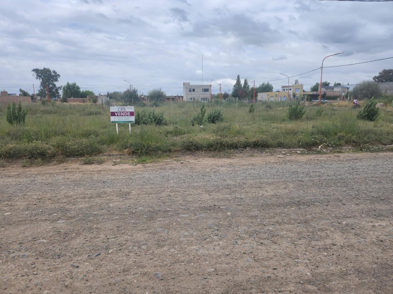 Foto de TERRENO, imagen 5