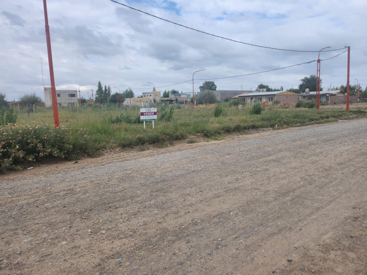 Foto de TERRENO, imagen 4