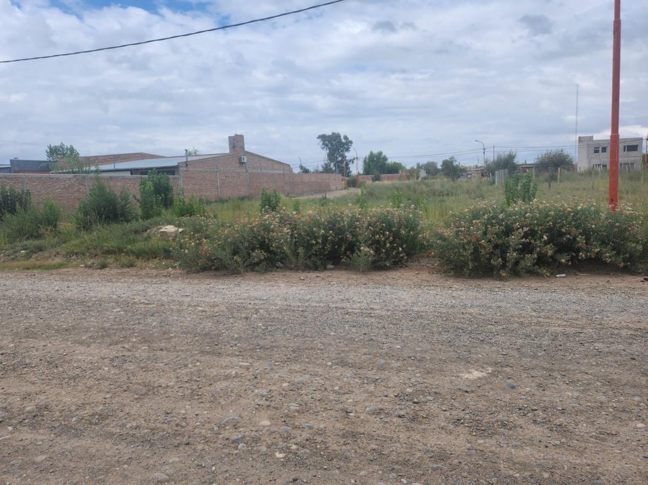 Foto de TERRENO, imagen 3