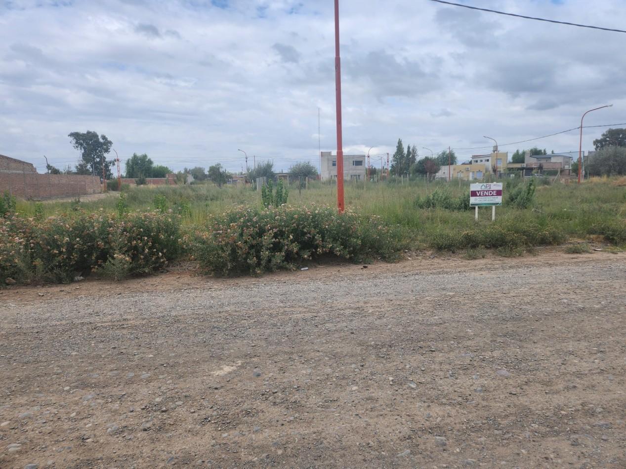 Foto de TERRENO, imagen 2