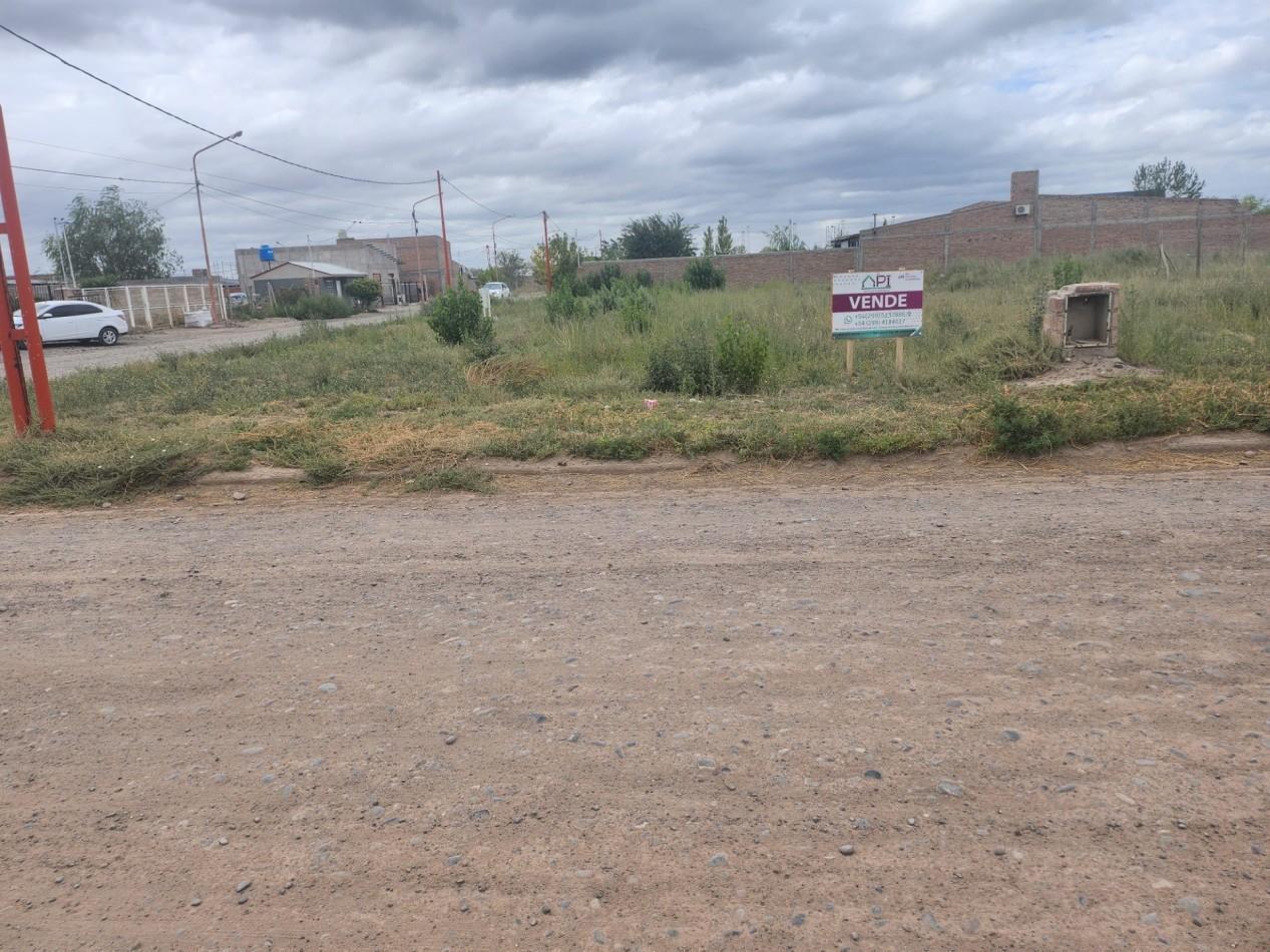 Foto de TERRENO, imagen 3