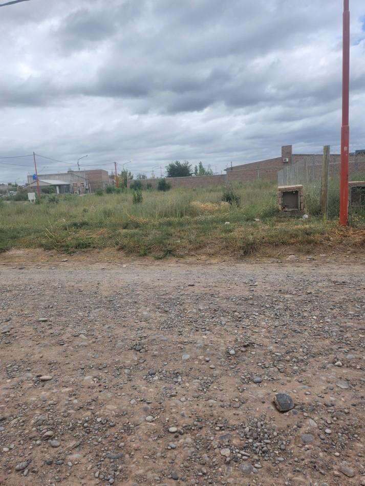 Foto de TERRENO, imagen 4