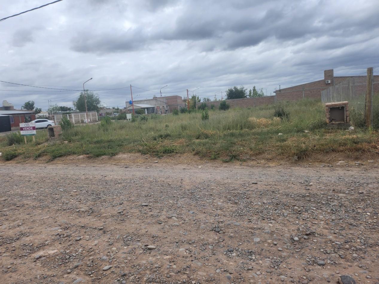 Foto de TERRENO, imagen 2