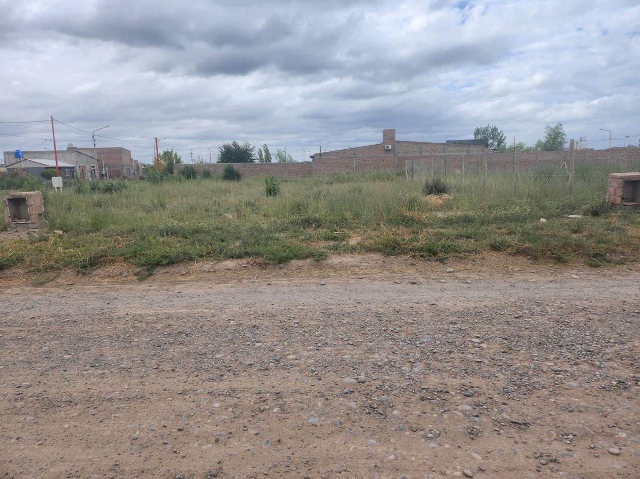 Foto de TERRENO, imagen 1