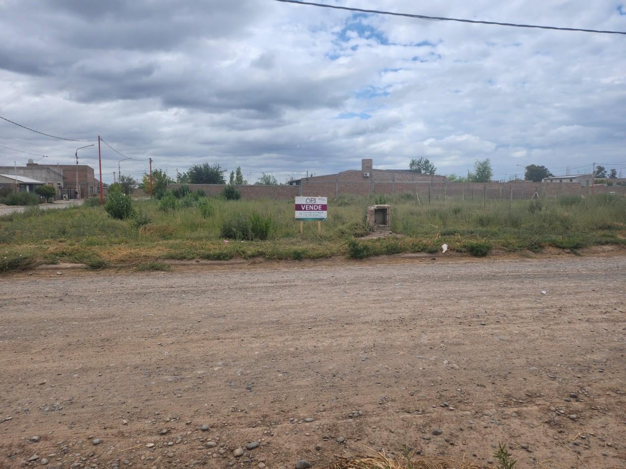 Foto de TERRENO, imagen 5