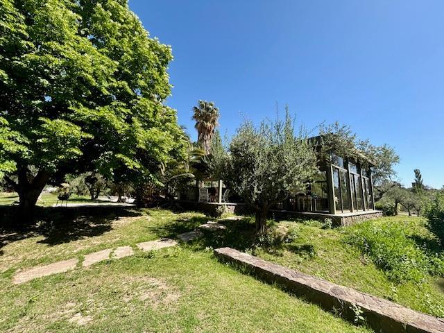 Foto de Casa en Alquiler en Vistalba, Lujan de Cuyo, imagen 5