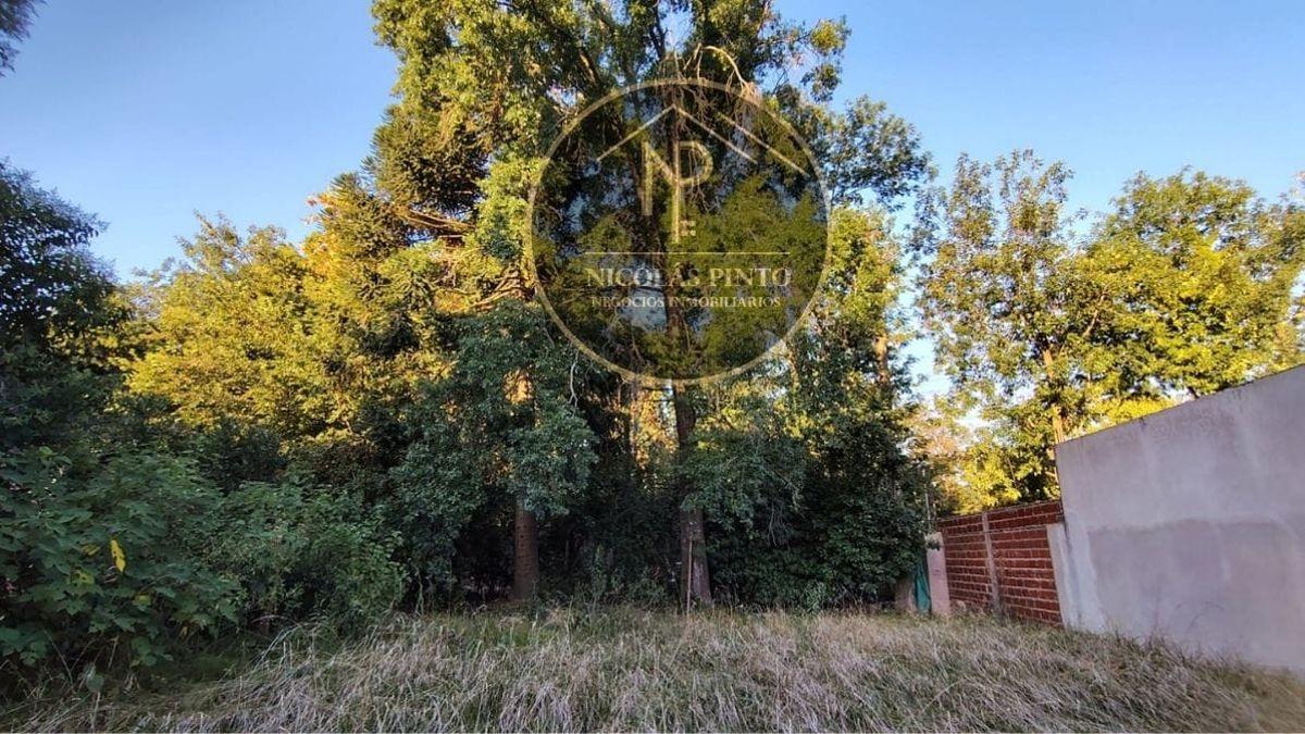 HERMOSO LOTE EN VENTA PRÓXIMO A PANAMERICANA KM 38.5- MANUEL ALBERTI