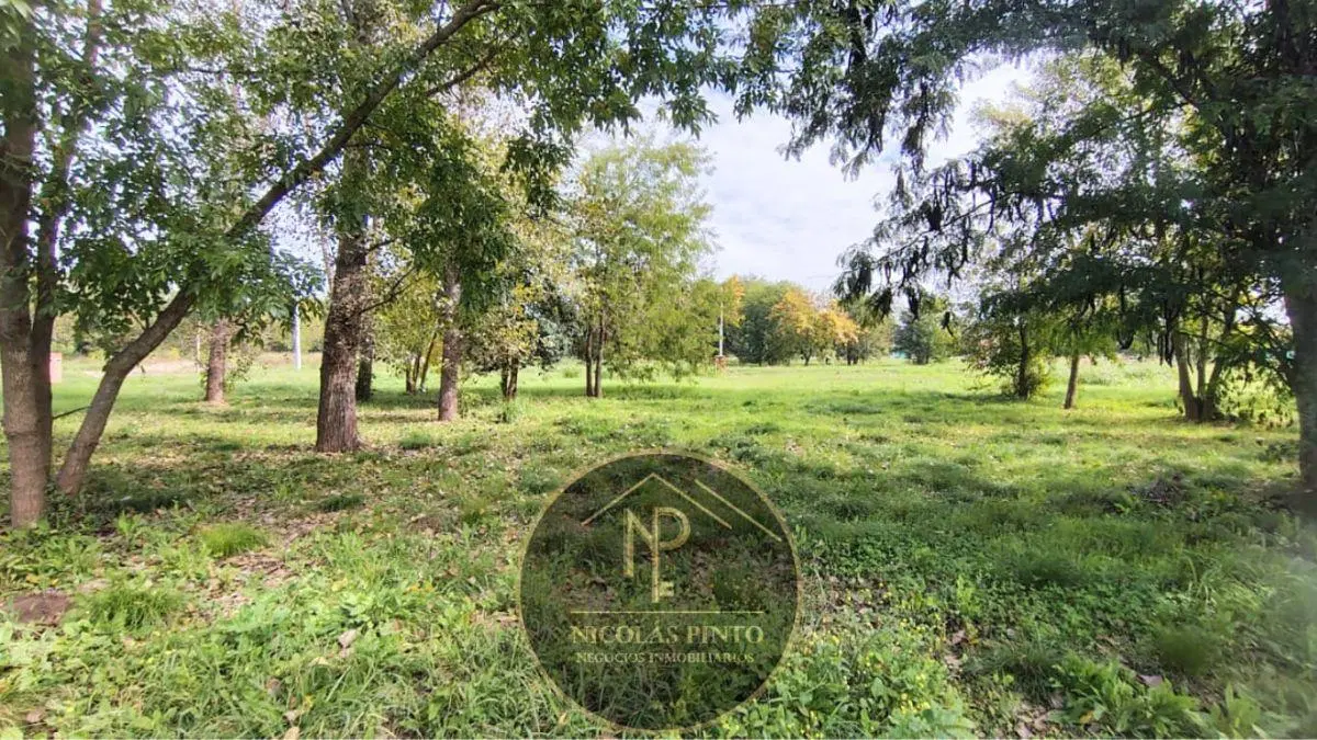 LOTE EN VENTA EXCELENTE ENTORNO - LA LONJA DEL VISO 3