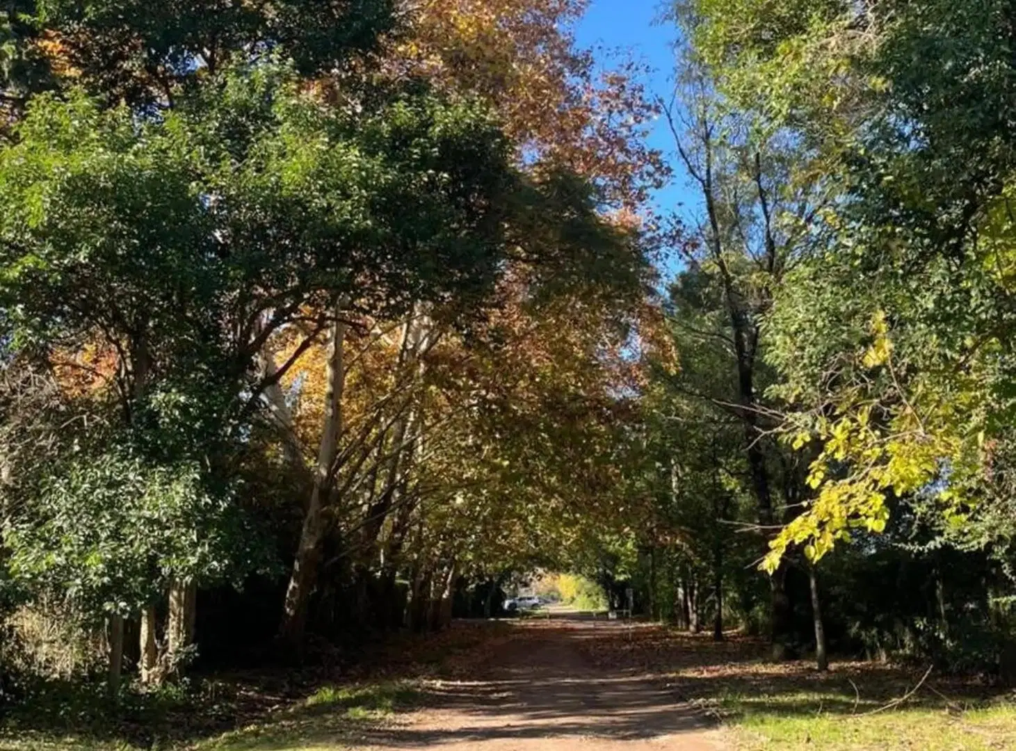 LOTE EN VENTA EN BARRIO CERRADO PARQUE PERÓ 4